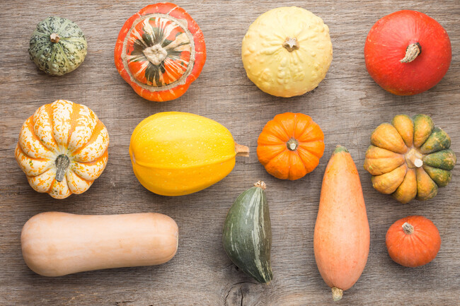 Pumpkin Names